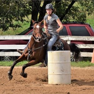 Meet your Posher, Sydney